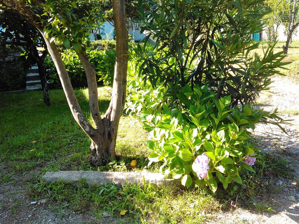 Casa Do Fiscal Villa Barroselas Cameră foto